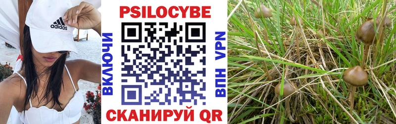 купить  сайты  блэк спрут онион  Псилоцибиновые грибы MAGIC MUSHROOMS  Черняховск 