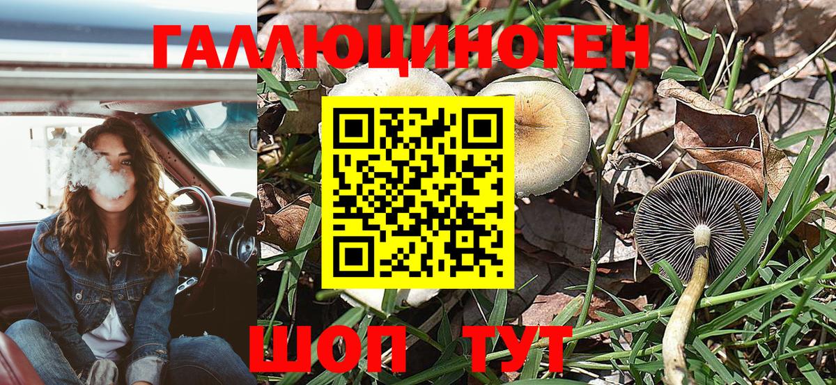 Псилоцибиновые грибы мухоморы  Галлюциногенные грибы мухоморы  Черняховск  наркошоп  Вход с VPN 